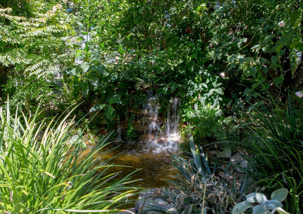 Maddies Of Bolwarra Maitland Exteriör bild